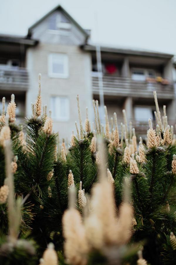 Lina Apartamenti Appartement Jurkalne Buitenkant foto